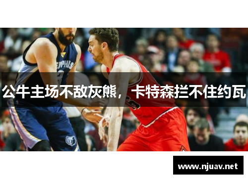 公牛主场不敌灰熊，卡特森拦不住约瓦