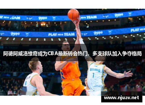 阿德阿威洛维奇成为CBA最新转会热门，多支球队加入争夺格局