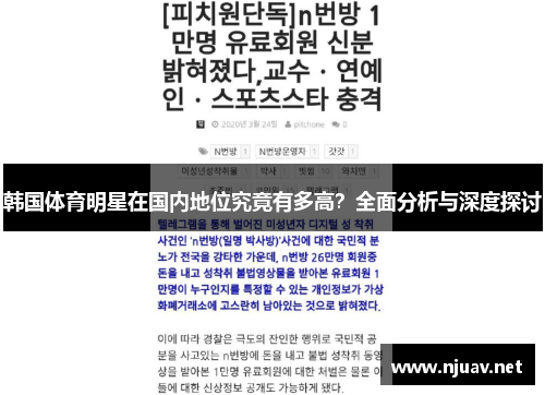 韩国体育明星在国内地位究竟有多高？全面分析与深度探讨