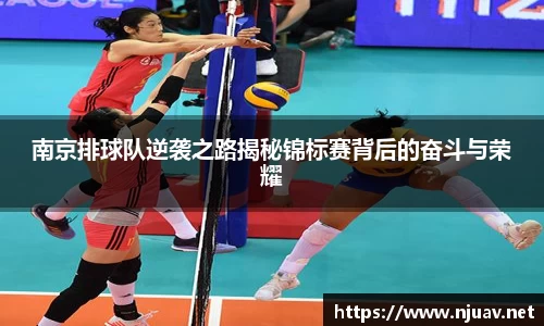 金年会官网